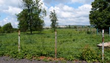 Фото земельный участок 20 соток с выходом к реке в живописном месте белгорода