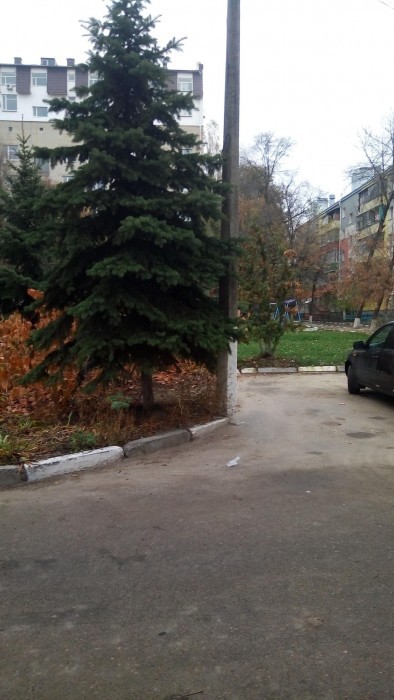 Фотография 14 - Комната в центре города!