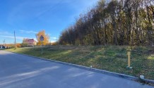 Фото живописный участок 20 соток, примыкает к лесу в с. соломино