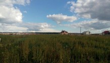 Фото участок 2,77 сельхозназначения в беловское 