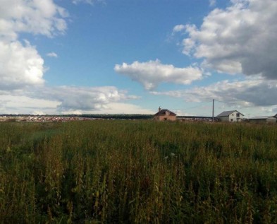 Участок 2,77 сельхозназначения в Беловское 