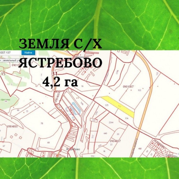 Фотография 1 - Участок С/Х 4,2 га на Белгородской Объездной Ястребово