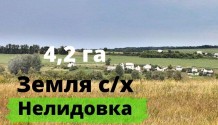 Фото участок 4,2 га сельхоз назначения  в нелидовке для фермерского хозяйства