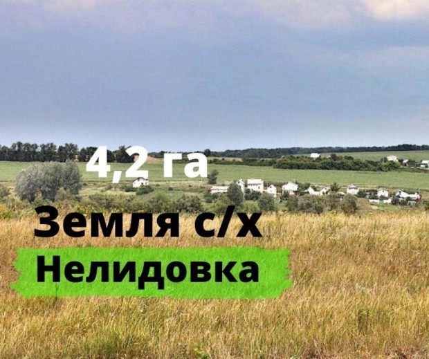 Фотография 1 - Участок 4,2 га сельхоз назначения  в Нелидовке для фермерского хозяйства