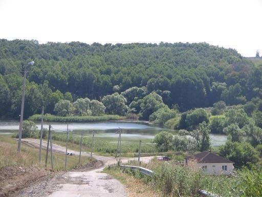 Фотография 6 - Участок ИЖС 42 сотки в РЕПНОЕ,рядом остановка и магазин