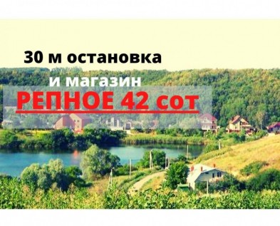 Участок ИЖС 42 сотки в РЕПНОЕ,рядом остановка и магазин