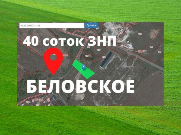 Фотография 1 - Участок 40 соток ЗНП ЛПХ  в Беловское 3 км от Белгорода