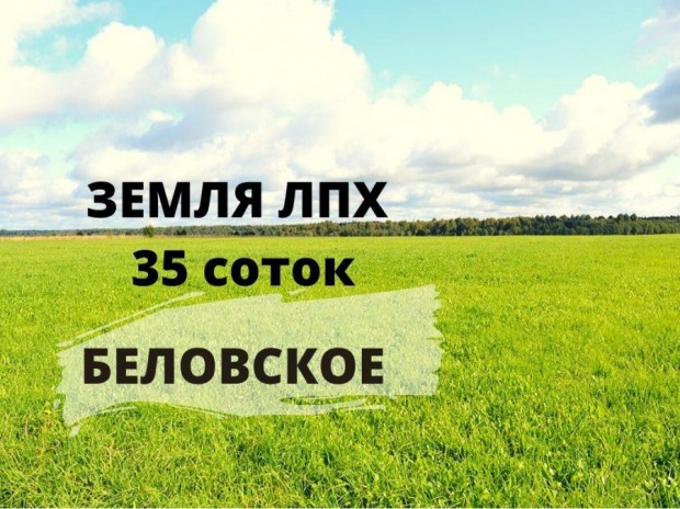Фотография 1 - Участок ЛПХ 35 соток в Беловское,рядом ОбЪЕЗДНАЯ,3 км от Белгорода