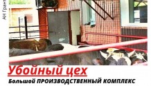 Фото продажа  производственного  комплекса 787 м2  - убойный цех (бойня)  в белгородской области,грайворонском районе