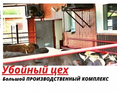 Продажа  ПРОИЗВОДСТВЕННОГО  комплекса 787 м2  - УБОЙНЫЙ ЦЕХ (Бойня)  в Белгородской области,Грайворонском районе
