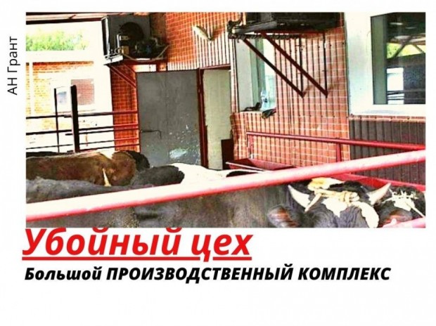 Фотография 1 - Продажа  ПРОИЗВОДСТВЕННОГО  комплекса 787 м2  - УБОЙНЫЙ ЦЕХ (Бойня)  в Белгородской области,Грайворонском районе