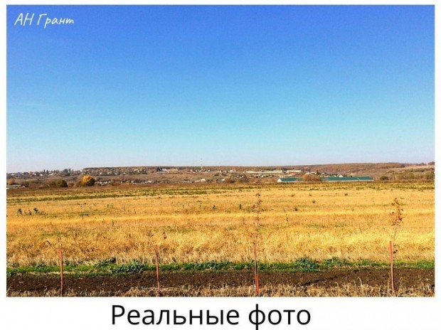 Фотография 5 - Участок с/х  8,91 га вдоль НОВОЙ ОБЪЕЗДНОЙ Разумное-Короча,рядом Беловское