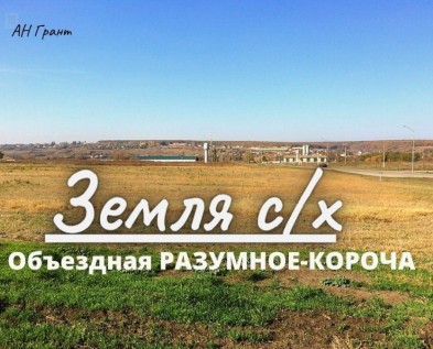 Участок с/х  8,91 га вдоль НОВОЙ ОБЪЕЗДНОЙ Разумное-Короча,рядом Беловское