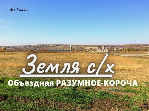 Фотография 1 - Участок с/х  8,91 га вдоль НОВОЙ ОБЪЕЗДНОЙ Разумное-Короча,рядом Беловское