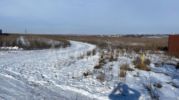 Фотография 2 - Отличный ровный 20 сот ИЖС в село Репное Дубовое