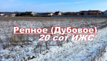 Фото отличный ровный 20 сот ижс в село репное дубовое