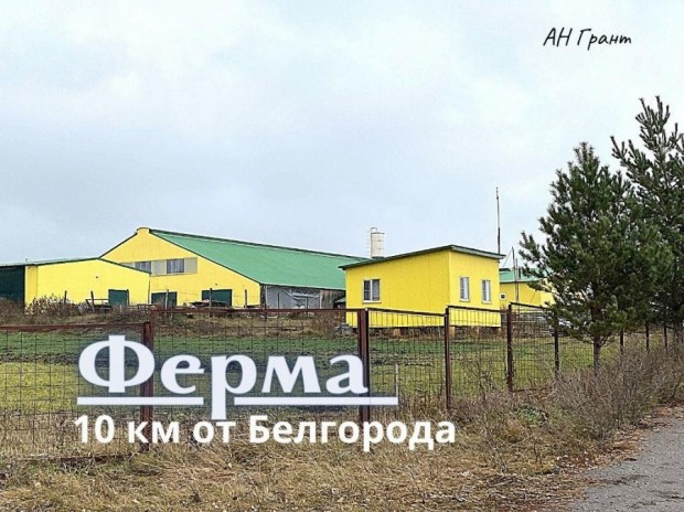 Фотография 1 - ТОВАРНО-МОЛОЧНАЯ  1730 м2 в Севрюково ,Белгород 10 км